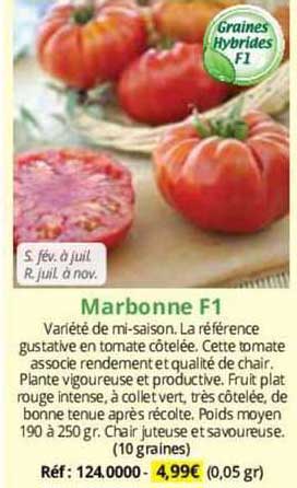 Marbonne F1