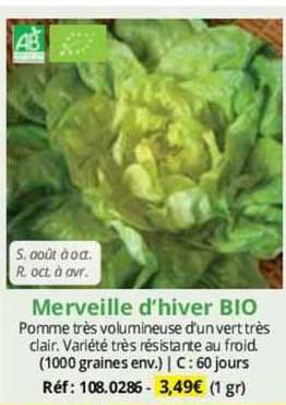 merveille d'hiver bio