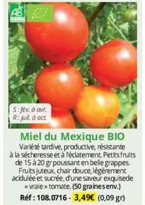 miel du mexique bio