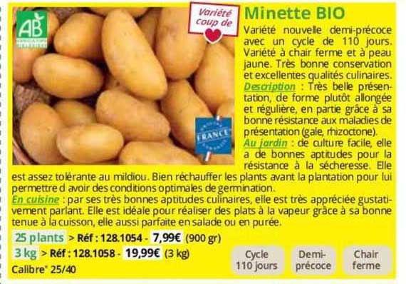 minette bio
