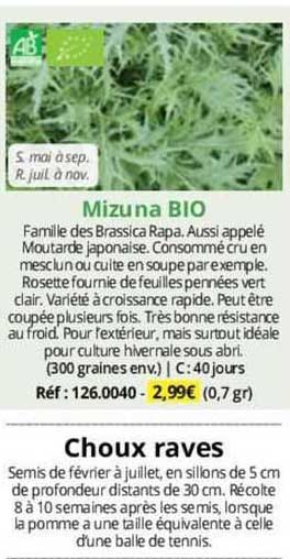 Mizuna Bio Choux Raves