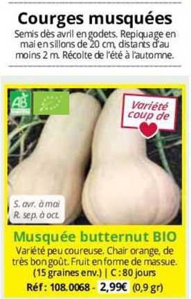 Musquée Butternut Bio