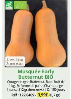 musquée early butternut bio