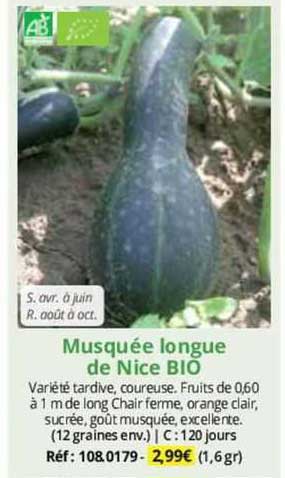musquée longue de nice bio