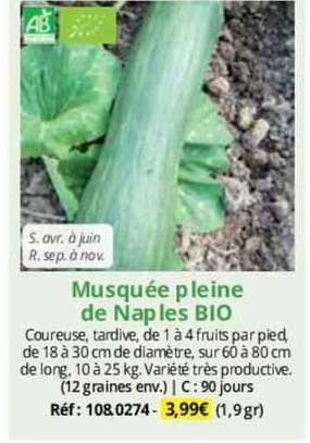 musquée pleine de naples bio