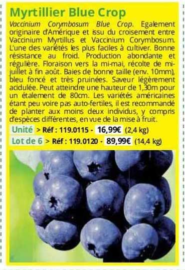 myrtillier blue crop