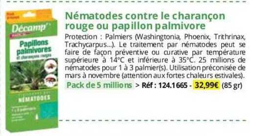 nématodes contre le charançon rouge ou papillon palmivore