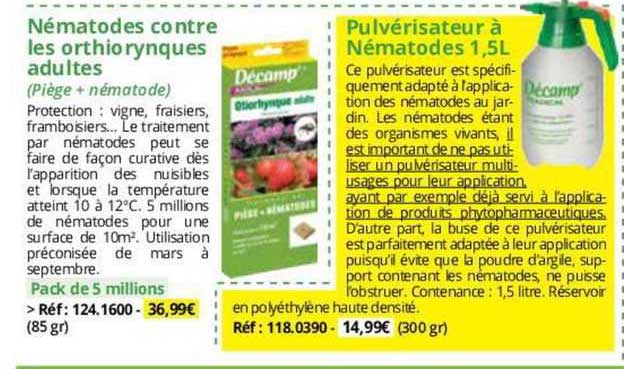 nématodes contre les orthiorynques adultes