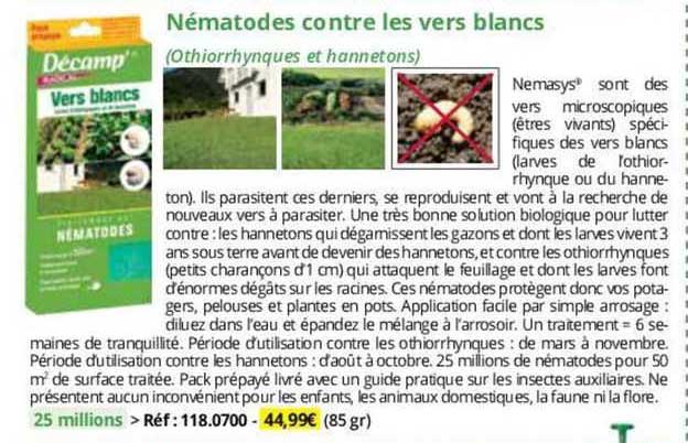 nématodes contre les vers blancs