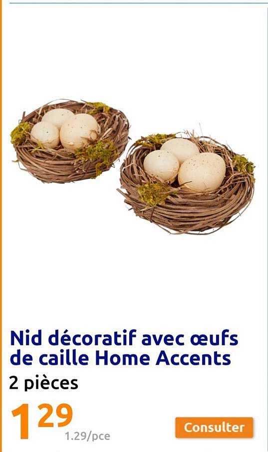 nid décoratif avec œufs de caille home accents
