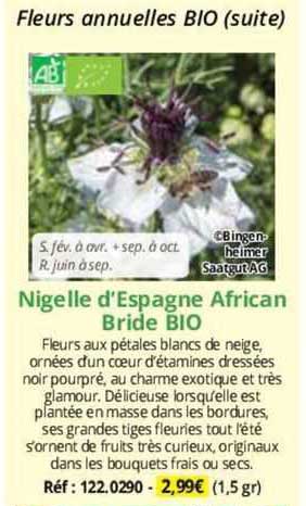 nigelle d'espagne african bride bio