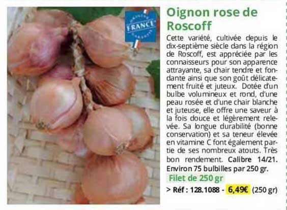 oignon rose de roscoff