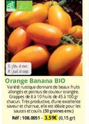 Orange Banana Bio