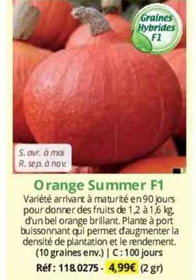 Orange Summer F1