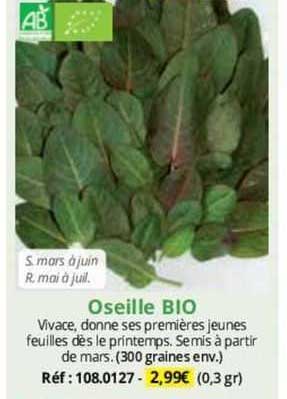 oseille bio