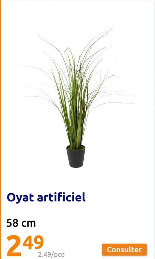 oyat artificiel