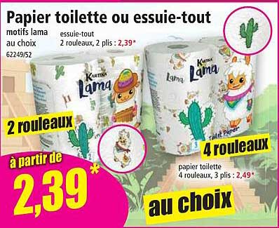 Papier Toilette Ou Essuie-tout