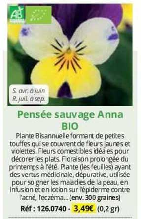 Pensée Sauvage Anna Bio