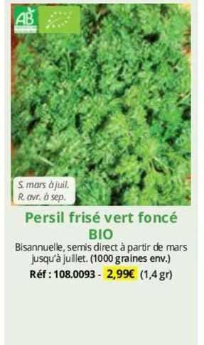 persil frisé vert foncé bio