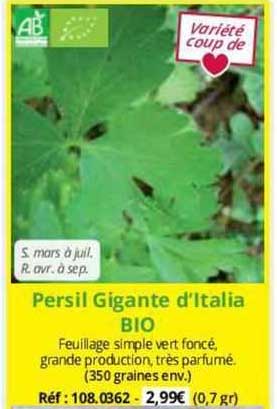 persil gigante d'italia bio
