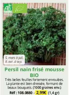 persil nain frisé mousse bio