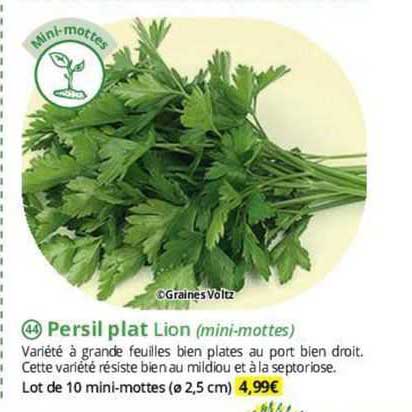 persil plat lion (mini-mottes)