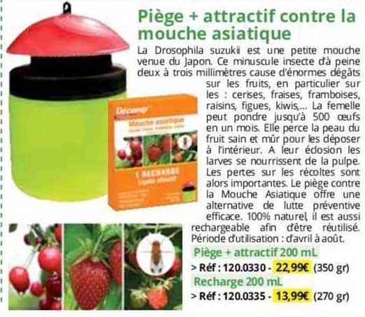 piège + attractif contre la mouche asiatique