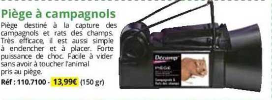 piège à campagnols