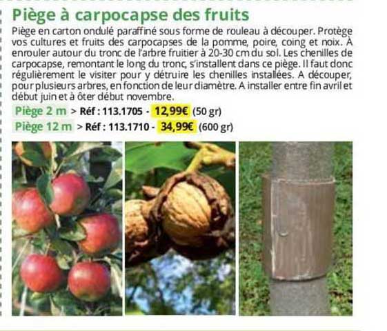 piège à carpocapse des fruits