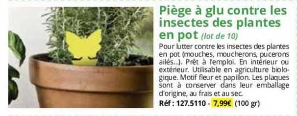 piège à glu contre les insectes des plantes en pot (lot de 10)