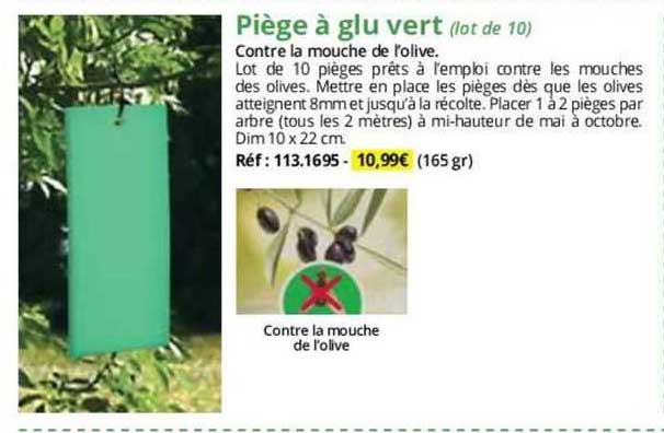 Piège à Glu Vert (lot De 10)