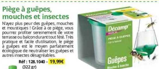 Piège à Guêpes, Mouches Et Insectes