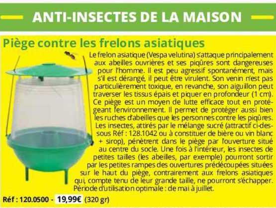 piège contre les frelons asiatiques