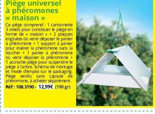 Piège Universel à Phéromones "maison"