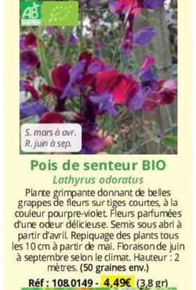 pois de senteur bio