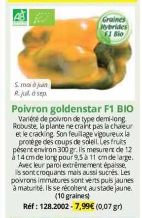 Poivron Goldenstar F1 Bio