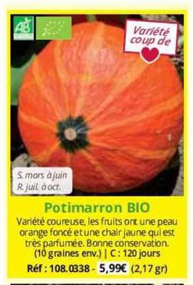 Potimarron Bio