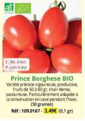 prince borghese bio