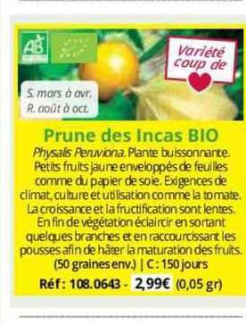 prune des incas bio