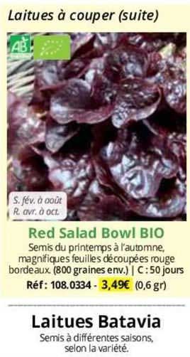 red salad bowl bio laitues batavia