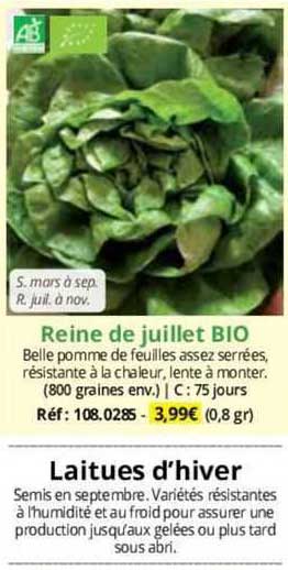 Reien De Juillet Bio