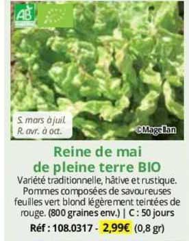 reine de mai de pleine terre bio