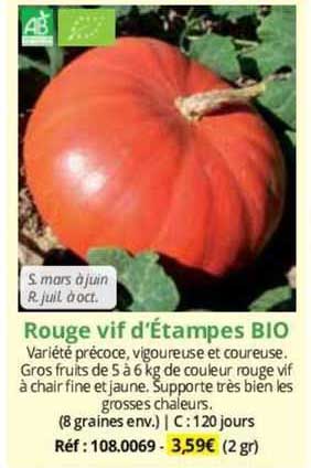rouge vif d'étampes bio