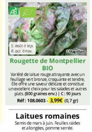 rougette de montpellier bio