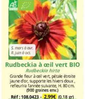 rudbeckia à œil vert bio
