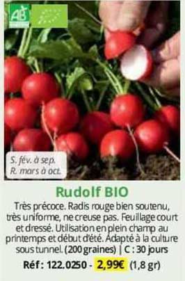 rudolf bio