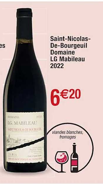saint-nicolas-de-bourgeuil domaine lg mabileau 2022