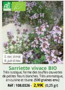 sarriette vivace bio