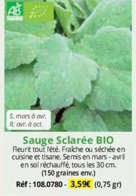 Sauge Scalarée Bio