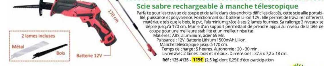 scie sabre rechargeable à manche télescopique
